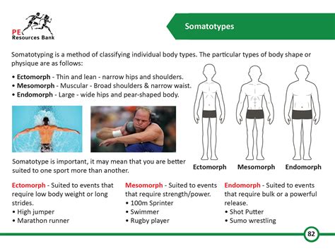 smart pe revision cards|aqa gcse pe flash cards.